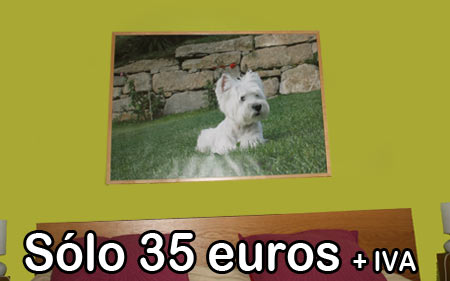 Impresi�n de fotos tama�o poster